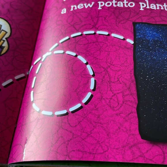 Fly Guy Presents Why Fly Guy? A Big Question & Answer Book by Tedd Arnold - Picture 10 of 10